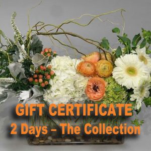 2 day the collection gift certificate