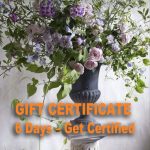 6 Days – Get Certified gift certificate